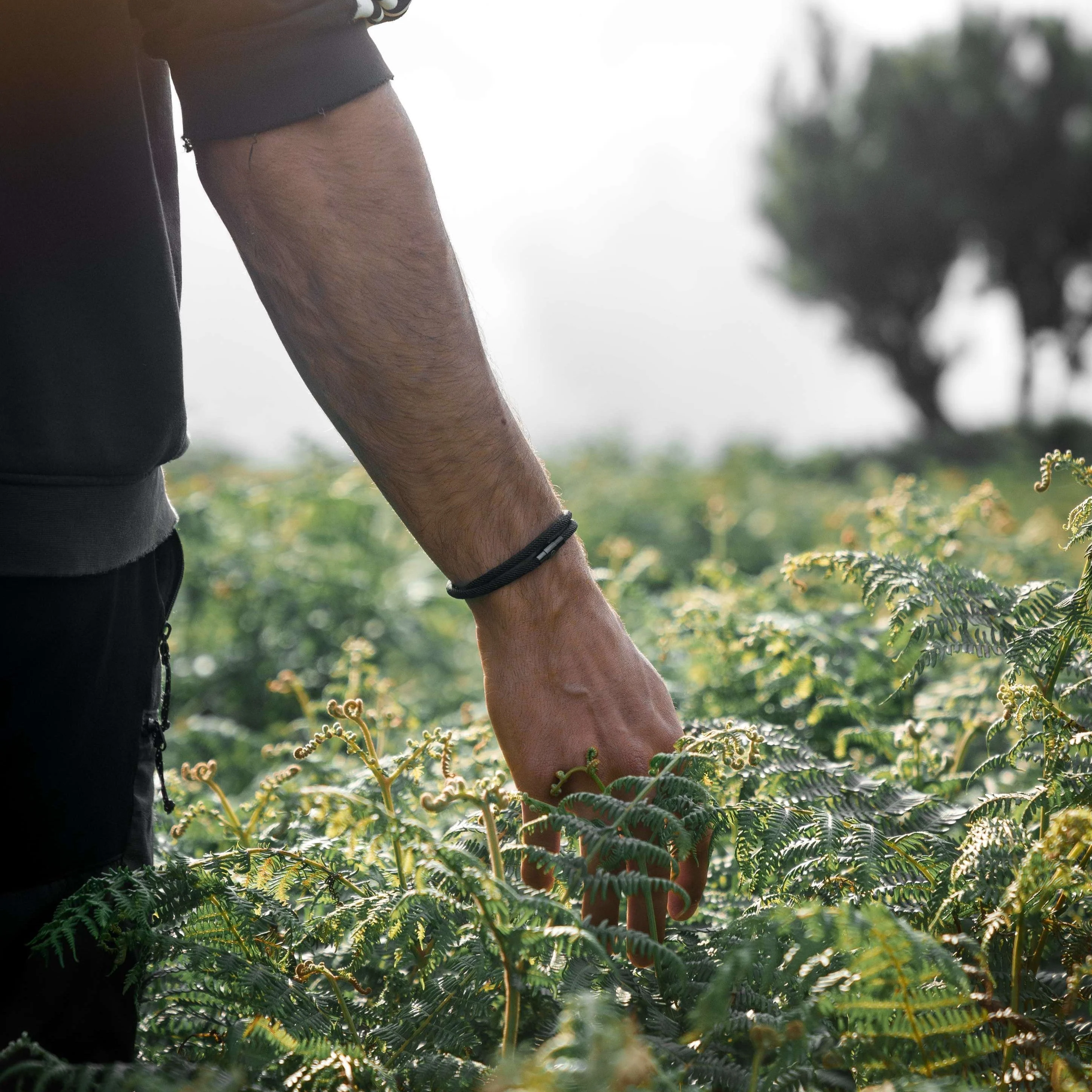 "Alberca" - Image 10