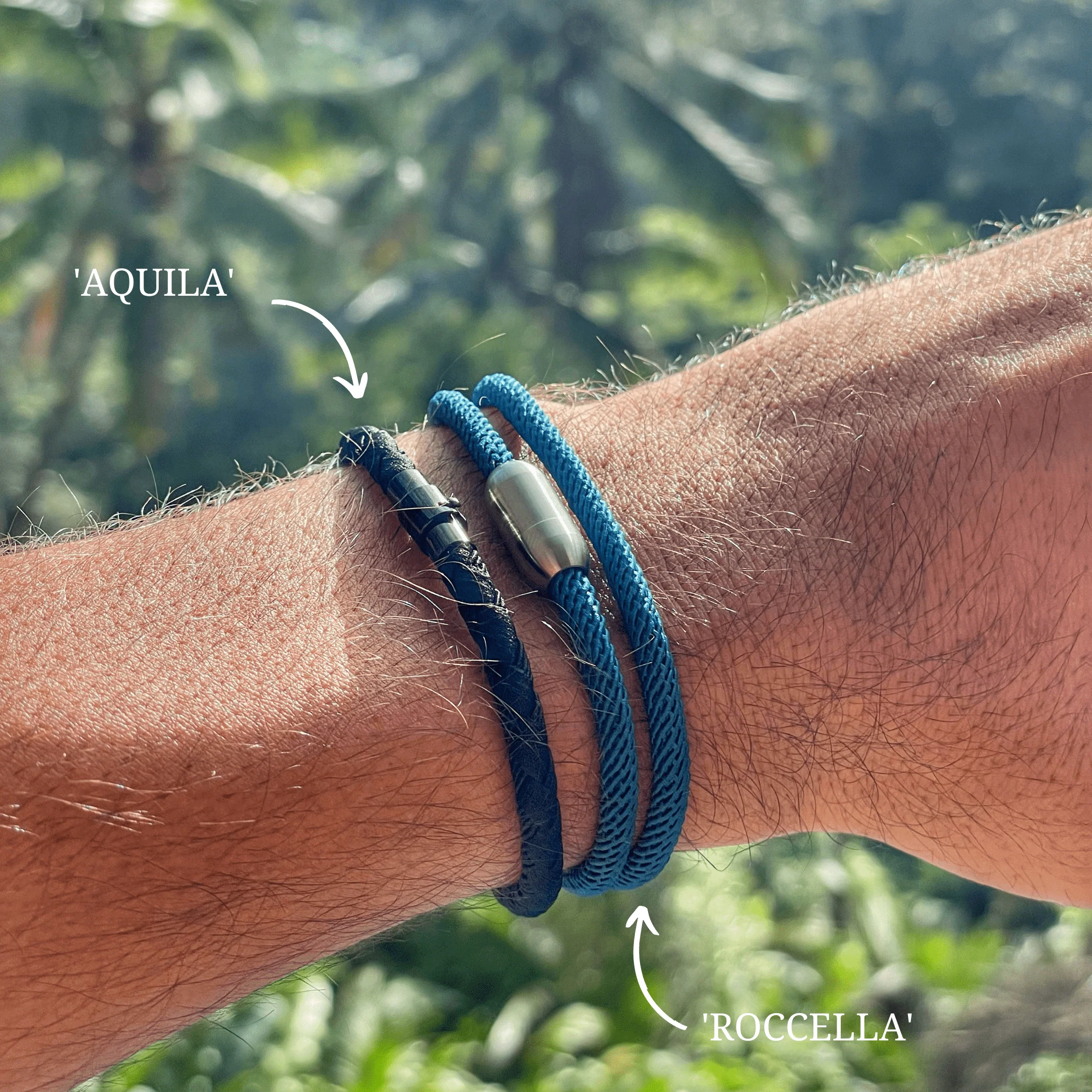 "Roccella" - Image 7